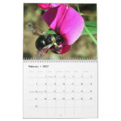 Calendrier Wild Life Calendar (Feb 2027)