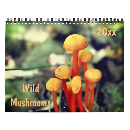 Calendrier Wild Mushrooms Photography (Protection)