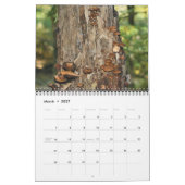 Calendrier Wild Mushrooms Photography (Mar 2027)