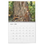 Calendrier Wild Mushrooms Photography  (Mar 2026)