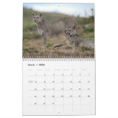 Calendrier Wild Patagonia: Pumas and wildlife (Mar 2026)