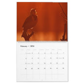 Calendrier Wild Thing (Feb 2026)