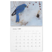 Calendrier Wild Thing (Jan 2027)