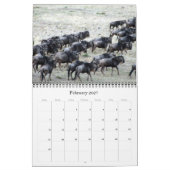 Calendrier wildebeest 2026 (Feb 2027)