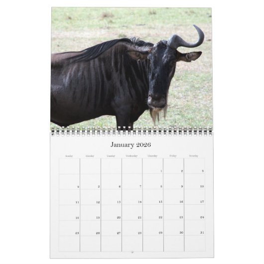 Calendrier wildebeest 2026 (Jan 2026)