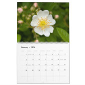 Calendrier Wildflower Wonders – A Year of Natural Beauty (Feb 2026)