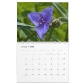 Calendrier Wildflower Wonders – A Year of Natural Beauty (Jan 2026)
