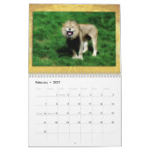 Calendrier Wildlife Calendar (Feb 2027)