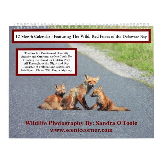 Calendrier Wildlife Calendar, Red Foxes (Protection)