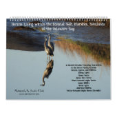 Calendrier Wildlife Calendar, Waterbirds, Herons (Protection)