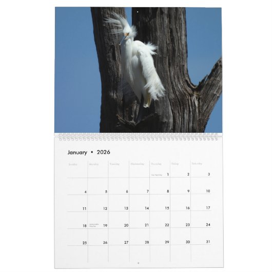 Calendrier Wildlife Calendar, Waterbirds, Herons (Jan 2026)