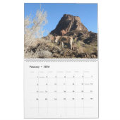 Calendrier Wildlife Calendar, wild donkeys, burros, desert (Feb 2026)