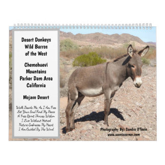 Calendrier Wildlife Calendar, wild donkeys, burros, desert