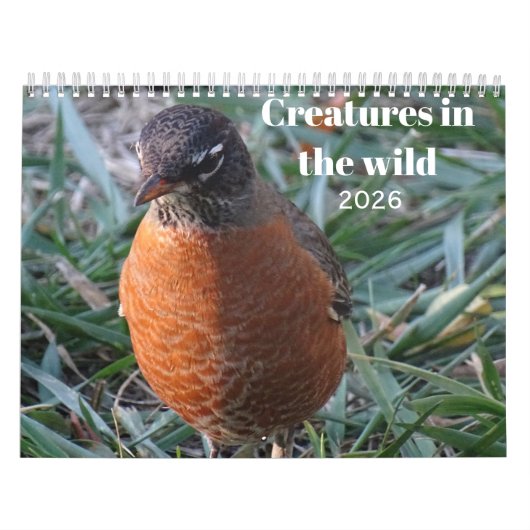 Calendrier Wildlife & Insects (Protection)