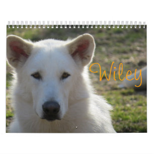Calendrier Wiley