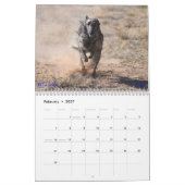 Calendrier Windhounds de soie ayant l'amusement 2019 (Feb 2027)