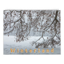 Winterland