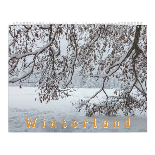 Calendrier Winterland (Protection)