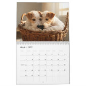 Calendrier Wire Fox Terrier 2027 (Mar 2027)