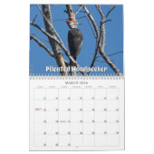Calendrier Wisconsin Birds Calendar 2026 (Mar 2026)