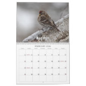 Calendrier Wisconsin Birds Calendar 2026 (Feb 2026)