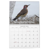 Calendrier Wisconsin Birds Calendar 2026 (Jan 2026)