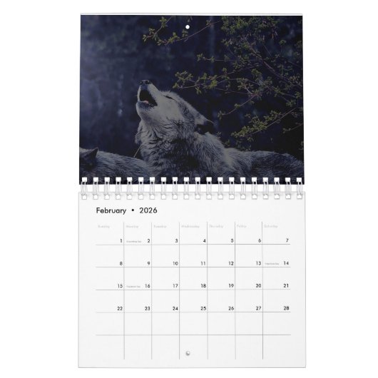 Calendrier Wolf (Feb 2026)