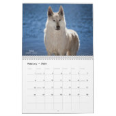 Calendrier Wolf (Feb 2026)