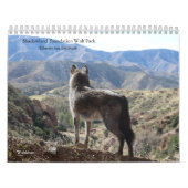 Calendrier Wolf (Protection)