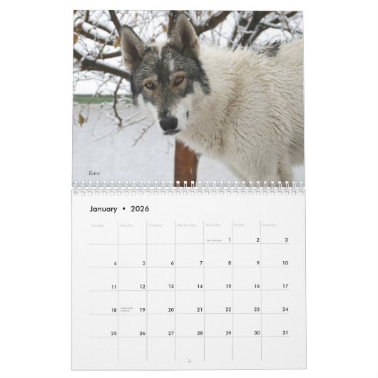Calendrier Wolf (Jan 2026)