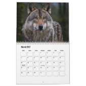 Calendrier Wolf (Mar 2027)