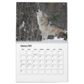 Calendrier Wolf (Feb 2027)