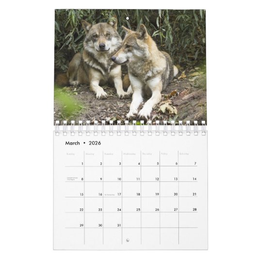 Calendrier Wolf Wolves Dans La Photographie De La Nature (Mar 2026)