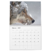 Calendrier Wolves of the World (Feb 2027)