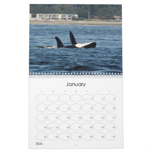 Calendrier Wonderful World of Whales 2015 Calender (Jan 2026)
