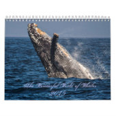 Calendrier Wonderful World of Whales 2015 Calender (Protection)