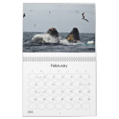 Calendrier Wonderful World of Whales 2015 Calender (Feb 2026)