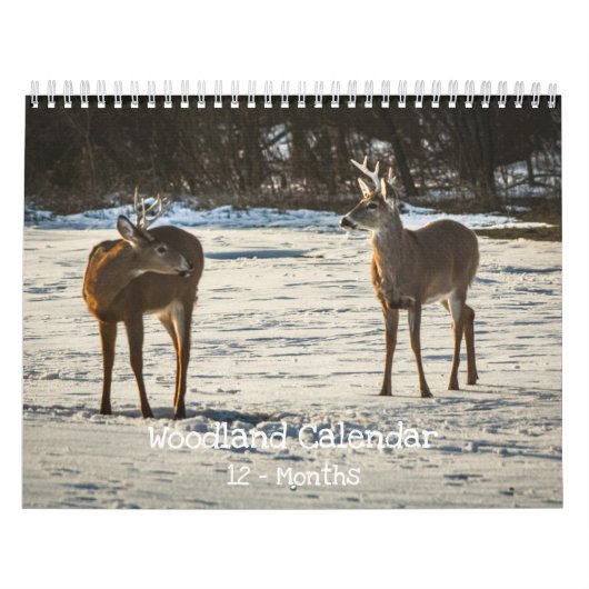 Calendrier Woodland Creatures Nature  (Protection)