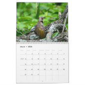 Calendrier Woodpeckers Calendar (Mar 2026)