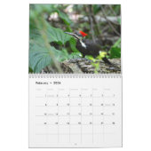Calendrier Woodpeckers Calendar (Feb 2026)