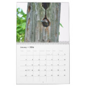 Calendrier Woodpeckers Calendar (Jan 2026)