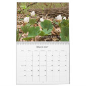 Calendrier Woods Walking Inspirations 2020 (Mar 2027)