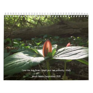 Calendrier Woods Walking Inspirations 2020