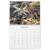 Calendrier Woods Walking Inspirations 2021 (Mar 2027)