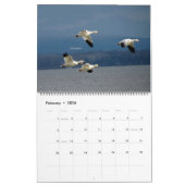 Calendrier WTM Photography 2026 Calendar (11x14) (Feb 2026)