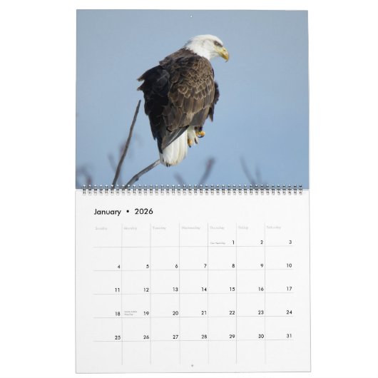 Calendrier WTM Photography 2026 Calendar (11x14) (Jan 2026)