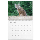 Calendrier WTM Photography 2026 Calendar (11x14) (Mar 2026)