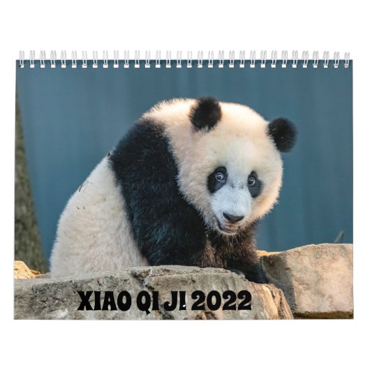 Calendrier Xiao Qi Ji 2022 (Protection)