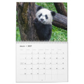 Calendrier Xiao Qi Ji 2022 (Mar 2027)
