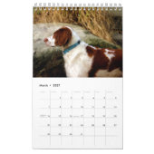 Calendrier Xine's Pack of Strays & Others Calendar (Mar 2027)
